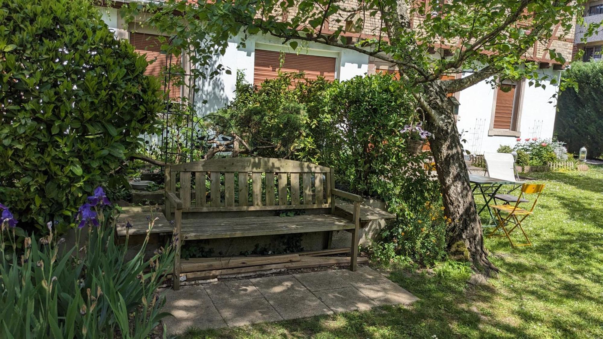 Le Petit Parc Apartment Colmar Bagian luar foto