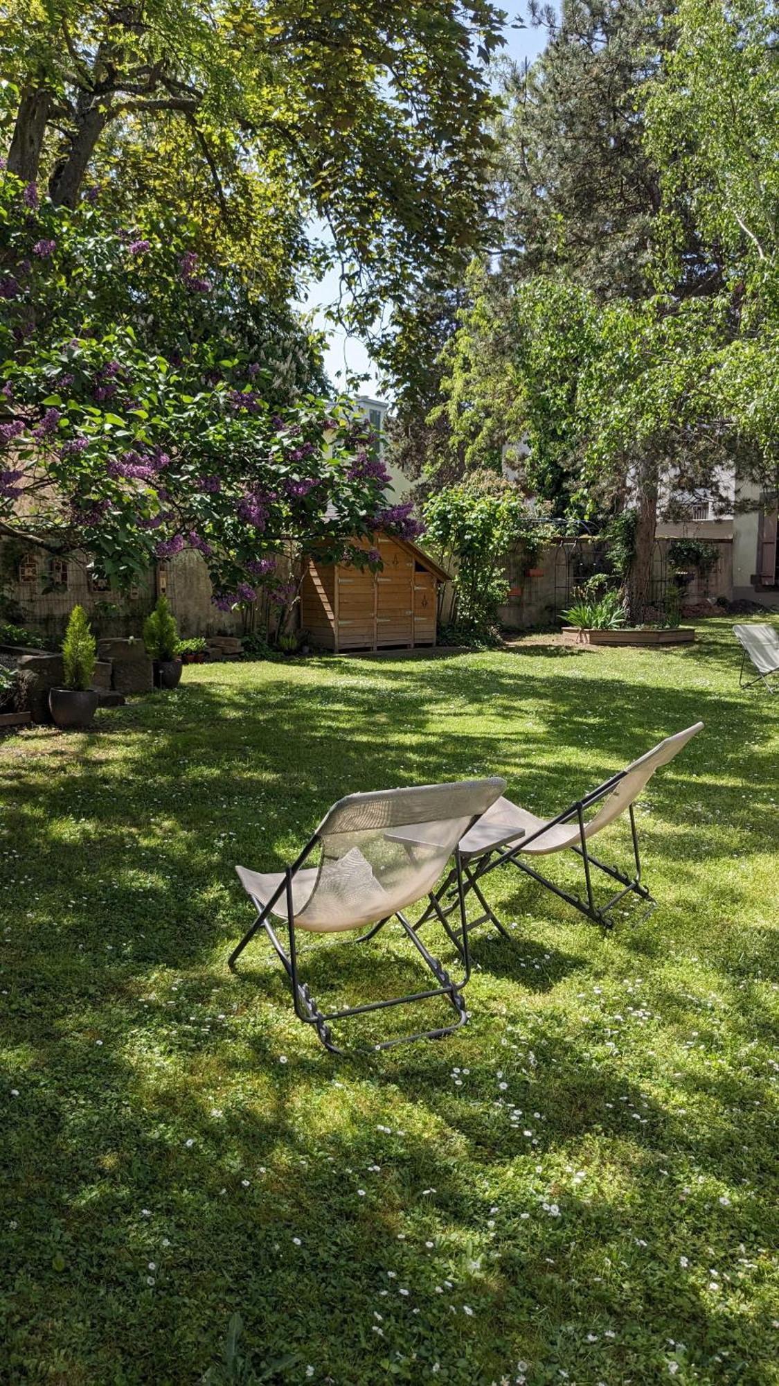 Le Petit Parc Apartment Colmar Ruang foto